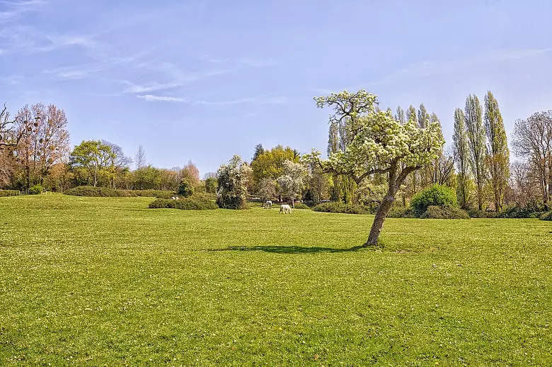 Dream of Deauville - Location villa de luxe - Bretagne / Normandie - ChicVillas - 10